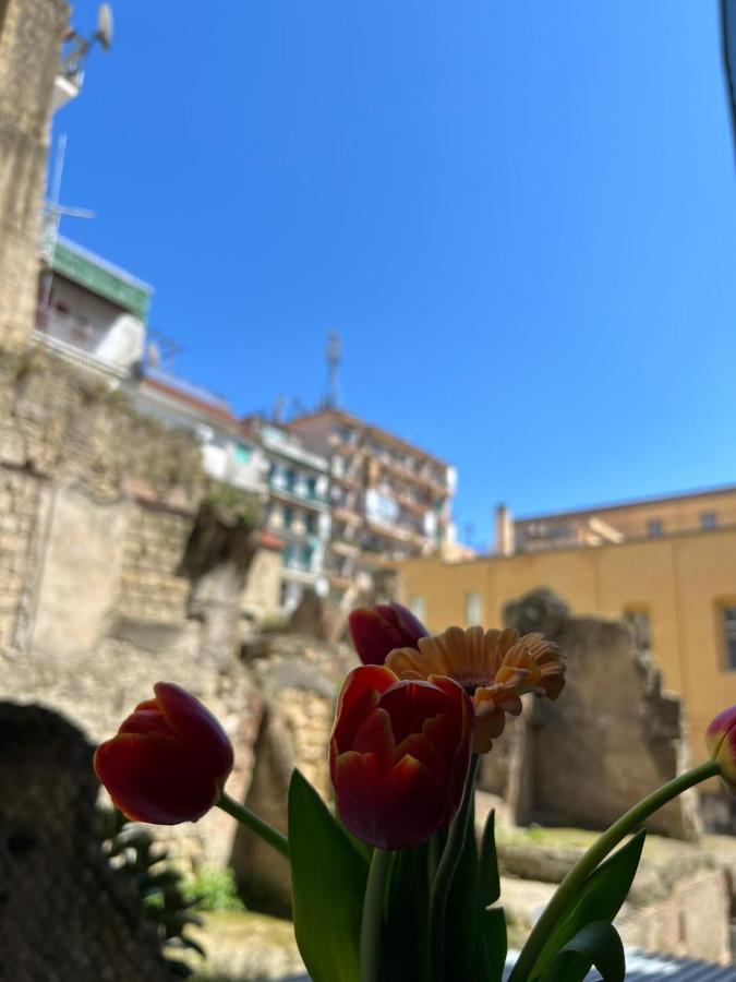 Napoli Centro, A Windows On The Monumentsアパートメント エクステリア 写真